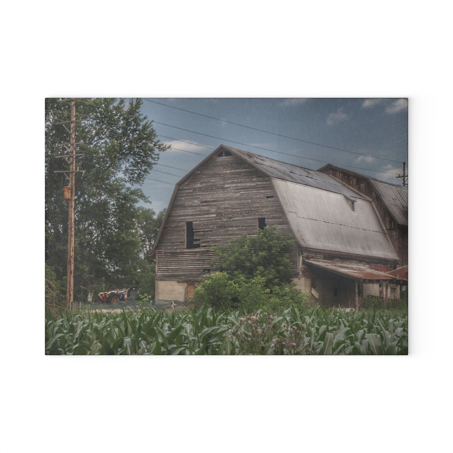 U R There Photography Murphy Lake Road Grey II Rustic Farmhouse Tempered-Glass Cutting Board