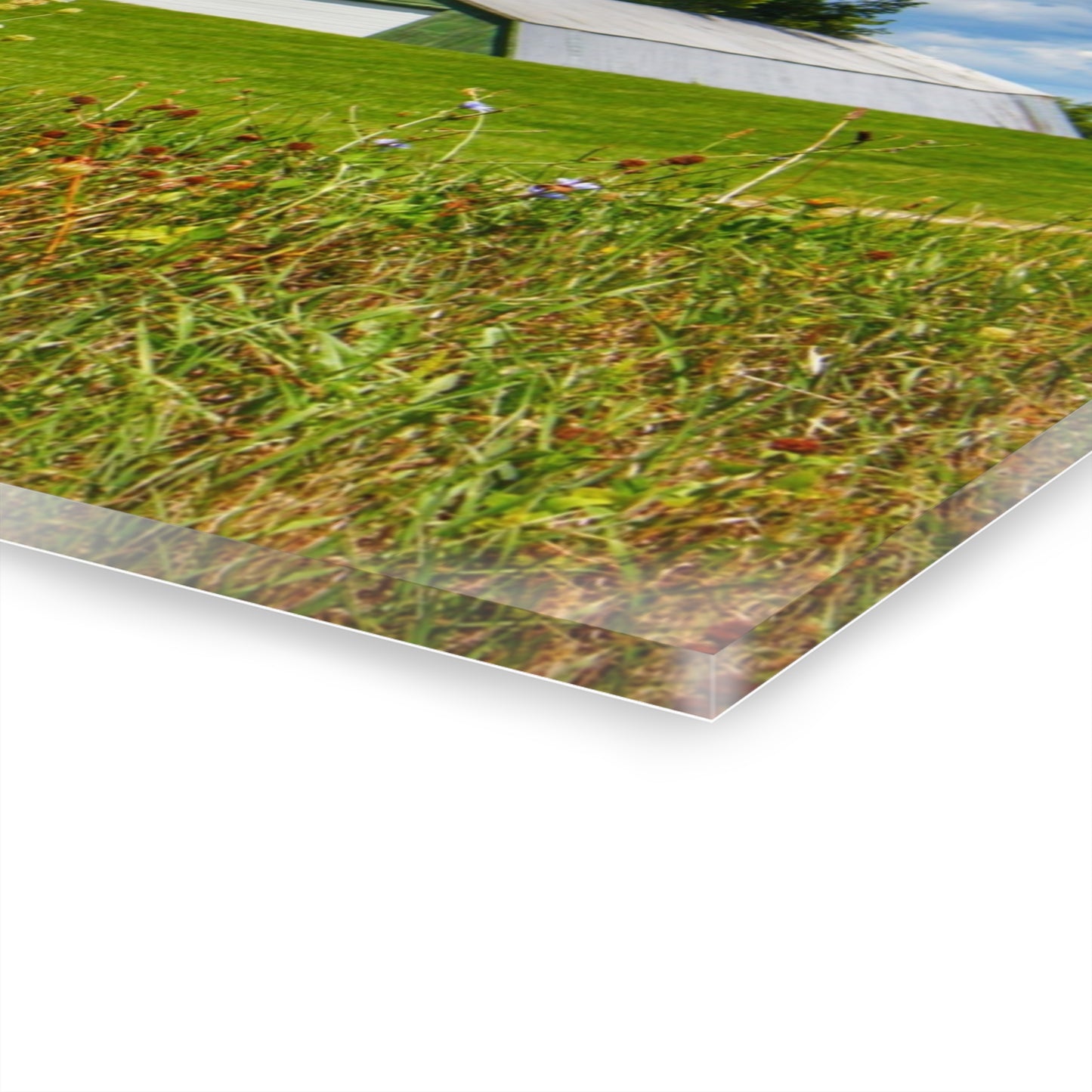 U R There Photography Hough Road Greens Rustic Farmhouse Acrylic Wall Print