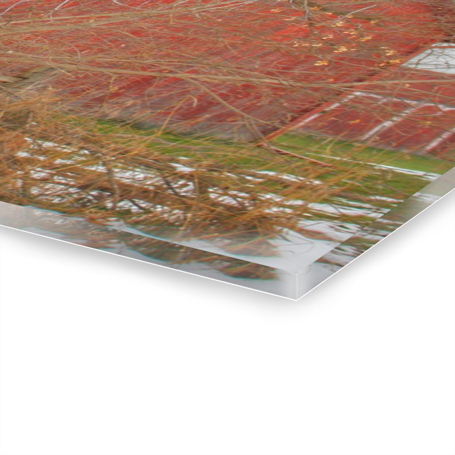 U R There Photography Holmes Road Red I Rustic Farmhouse Acrylic Wall Print