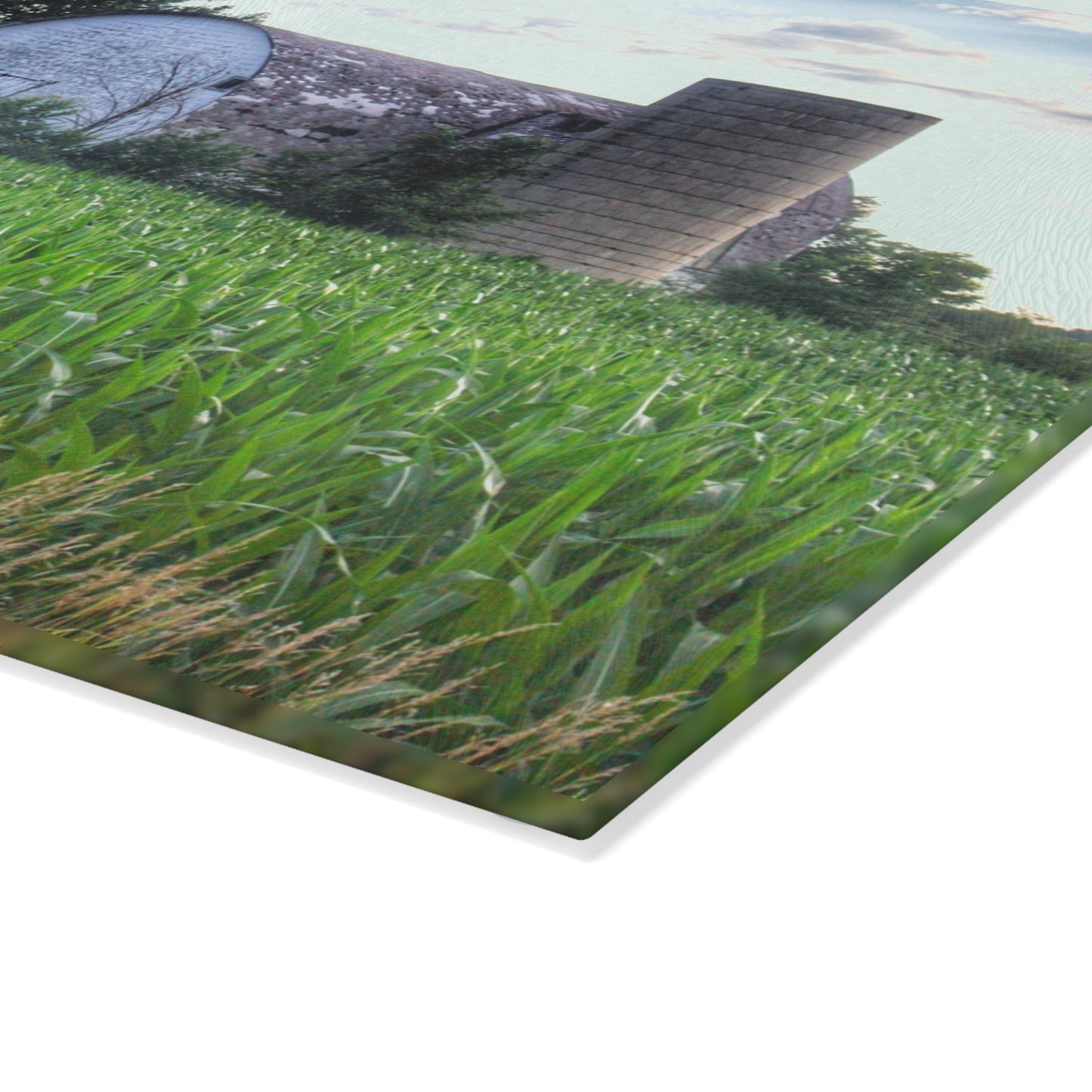 U R There Photography Genesee Road White Rustic Farmhouse Tempered-Glass Cutting Board