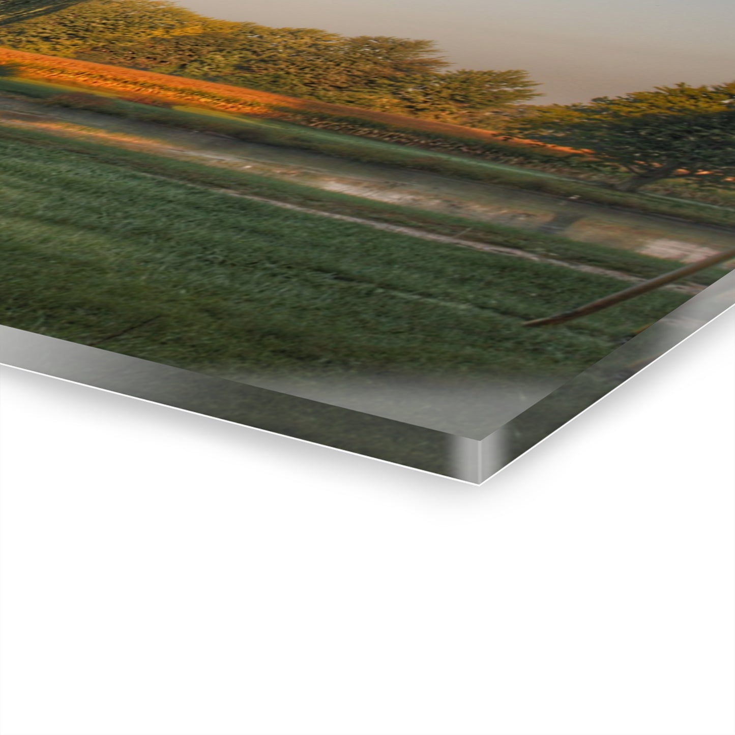 U R There Photography Sunrise on Willow Pond II Rustic Farmhouse Acrylic Wall Print