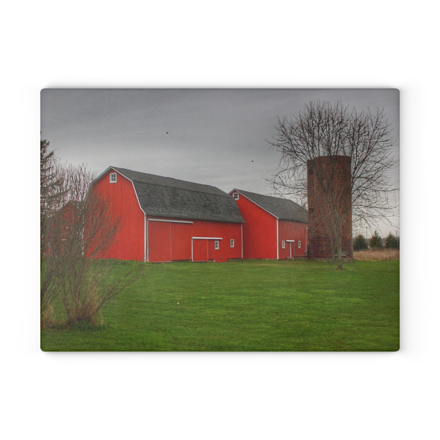U R There Photography Hough Road Reds II Rustic Farmhouse Tempered-Glass Cutting Board