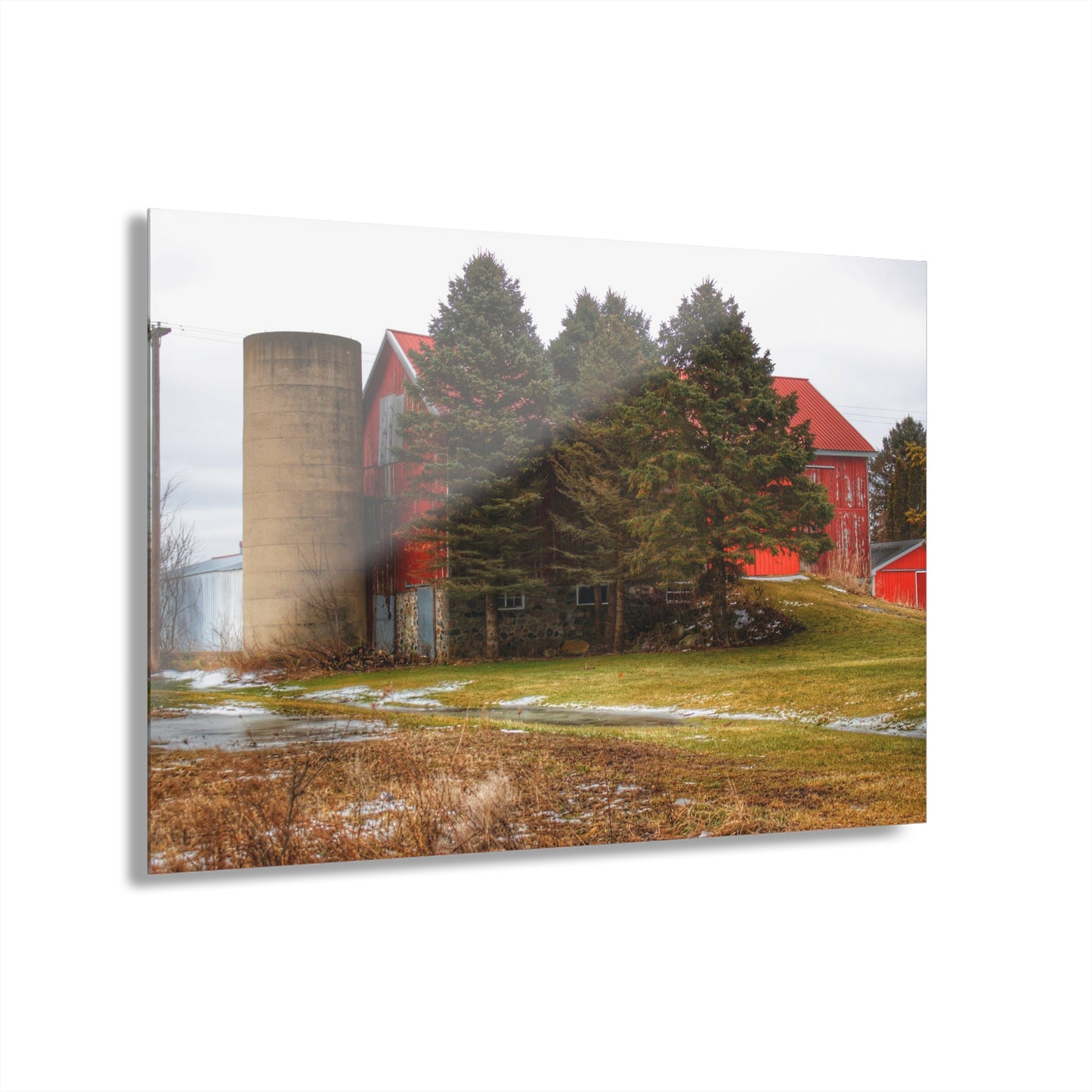 U R There Photography Laur Road Red Among the Pines III Rustic Farmhouse Acrylic Wall Print