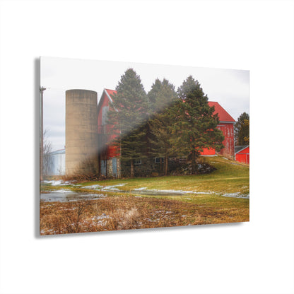 U R There Photography Laur Road Red Among the Pines III Rustic Farmhouse Acrylic Wall Print