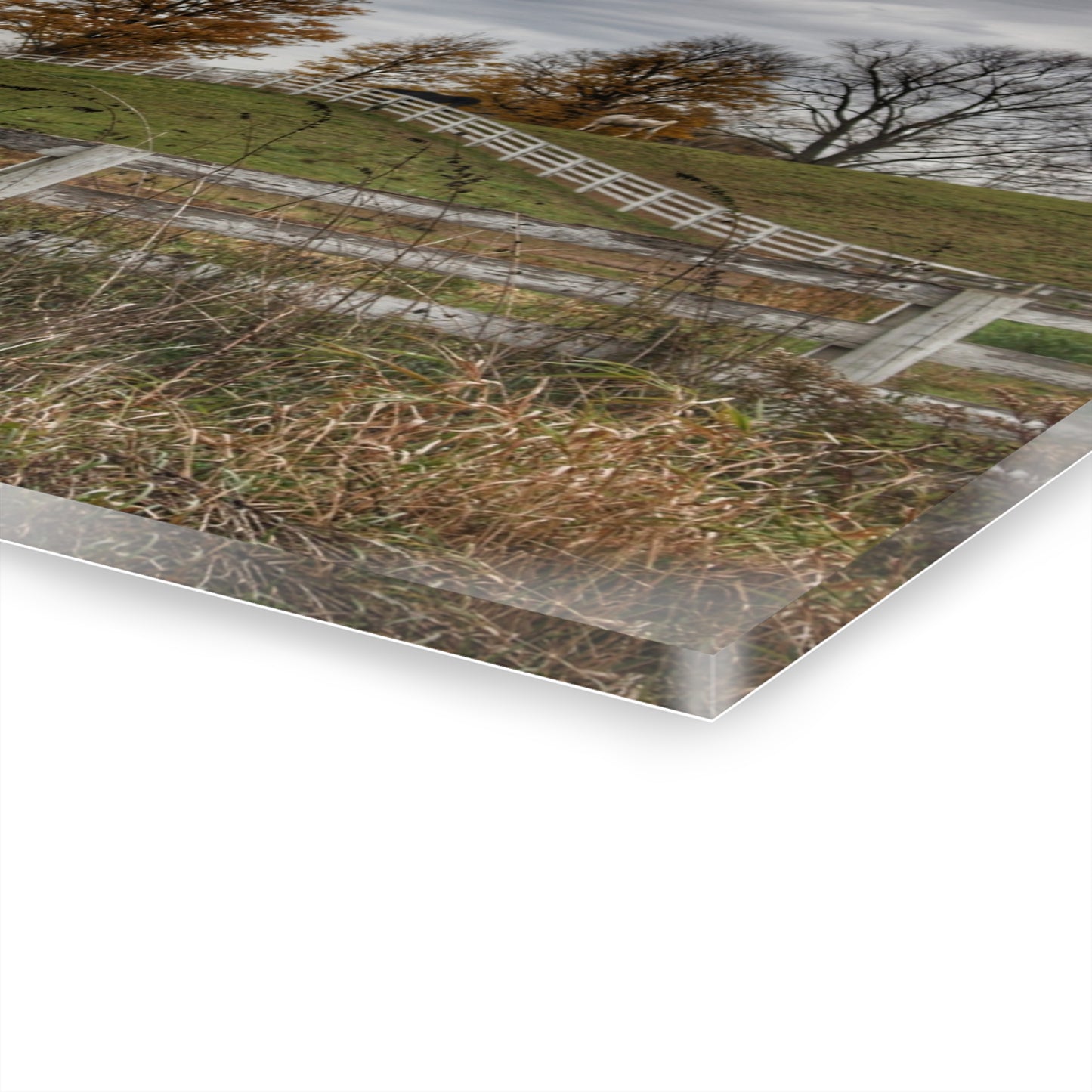 U R There Photography Millville Road Horses on the Hill Rustic Farmhouse Acrylic Wall Print