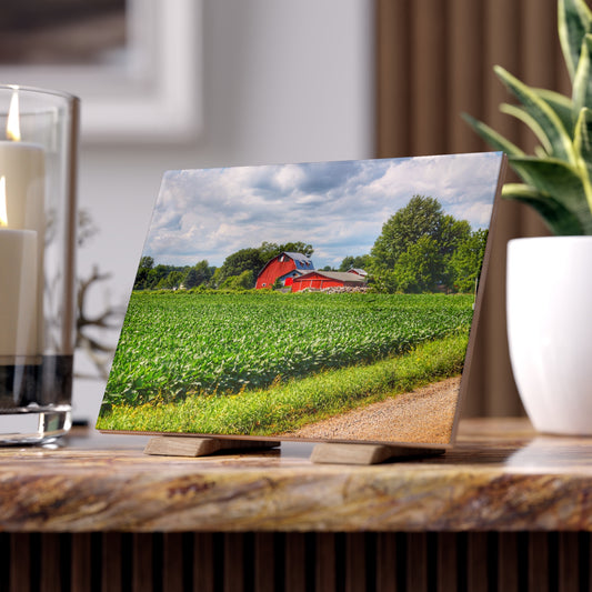 U R There Photography Block Road Reds Rustic Farmhouse Decorative Ceramic Tile