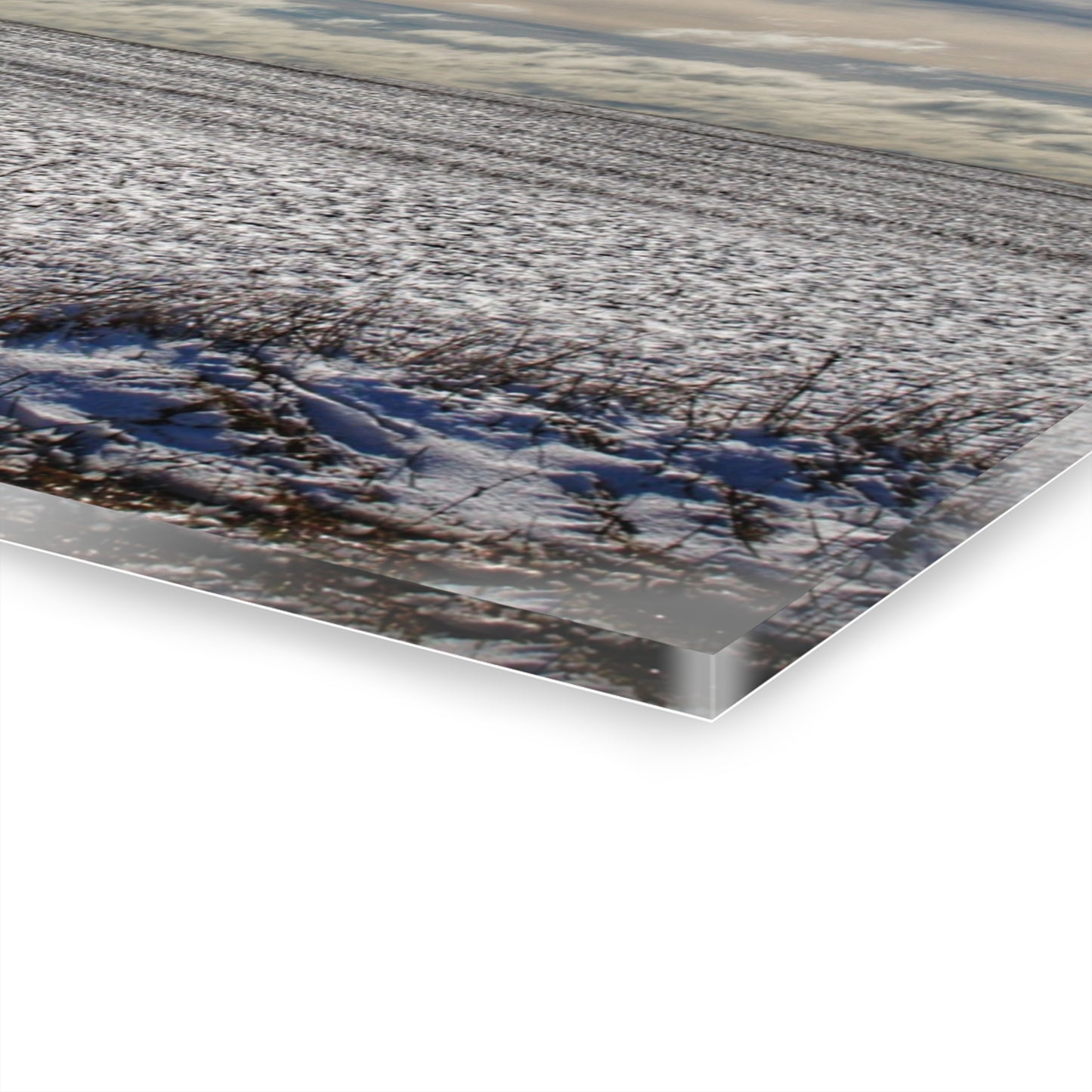 U R There Photography Early Spring Grey I Rustic Farmhouse Acrylic Wall Print