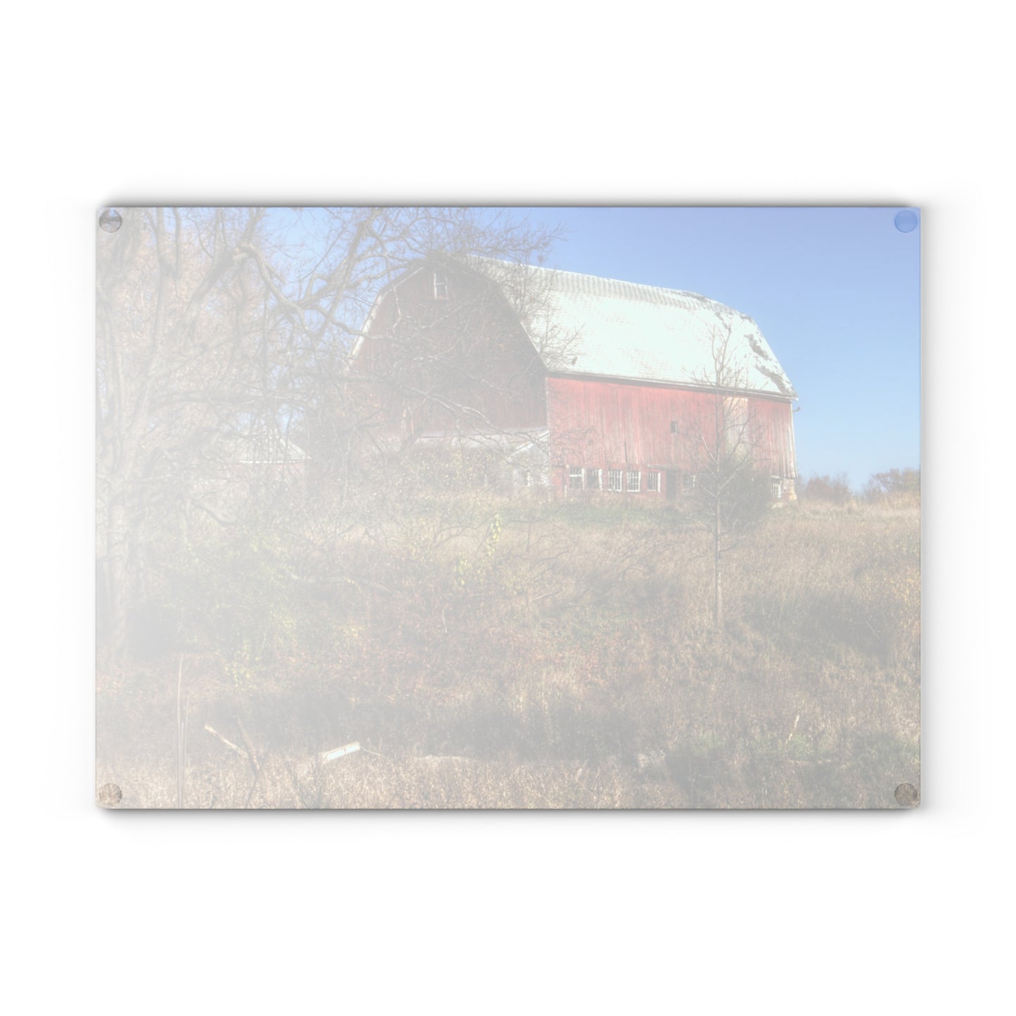 U R There Photography Hadley Red I Rustic Farmhouse Tempered-Glass Cutting Board