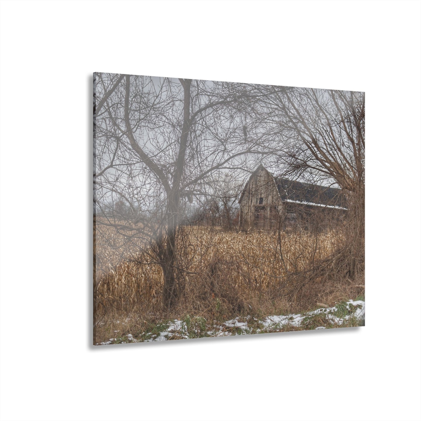 U R There Photography North Oxford Road Grey I Rustic Farmhouse Acrylic Wall Print