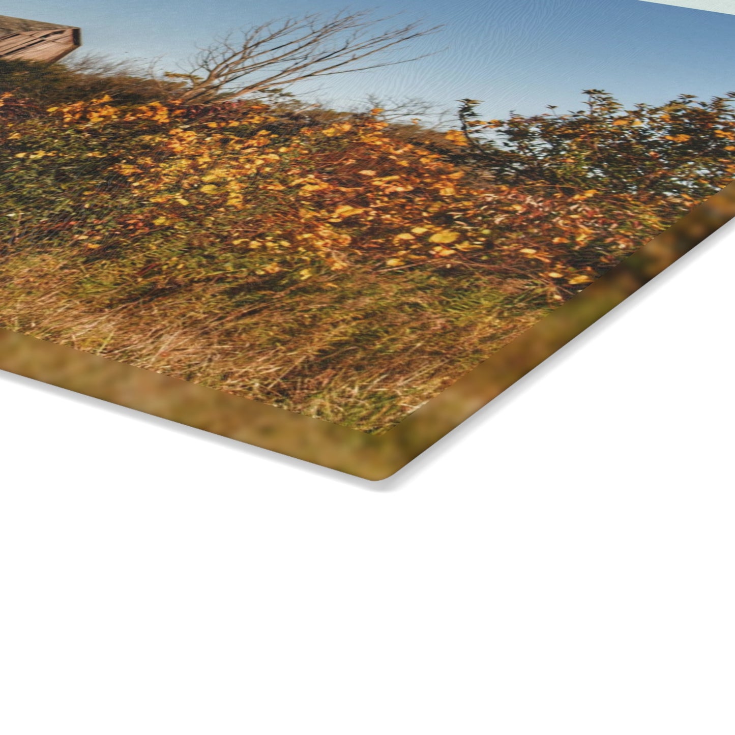 U R There Photography Clothier Road Red I Rustic Farmhouse Tempered-Glass Cutting Board