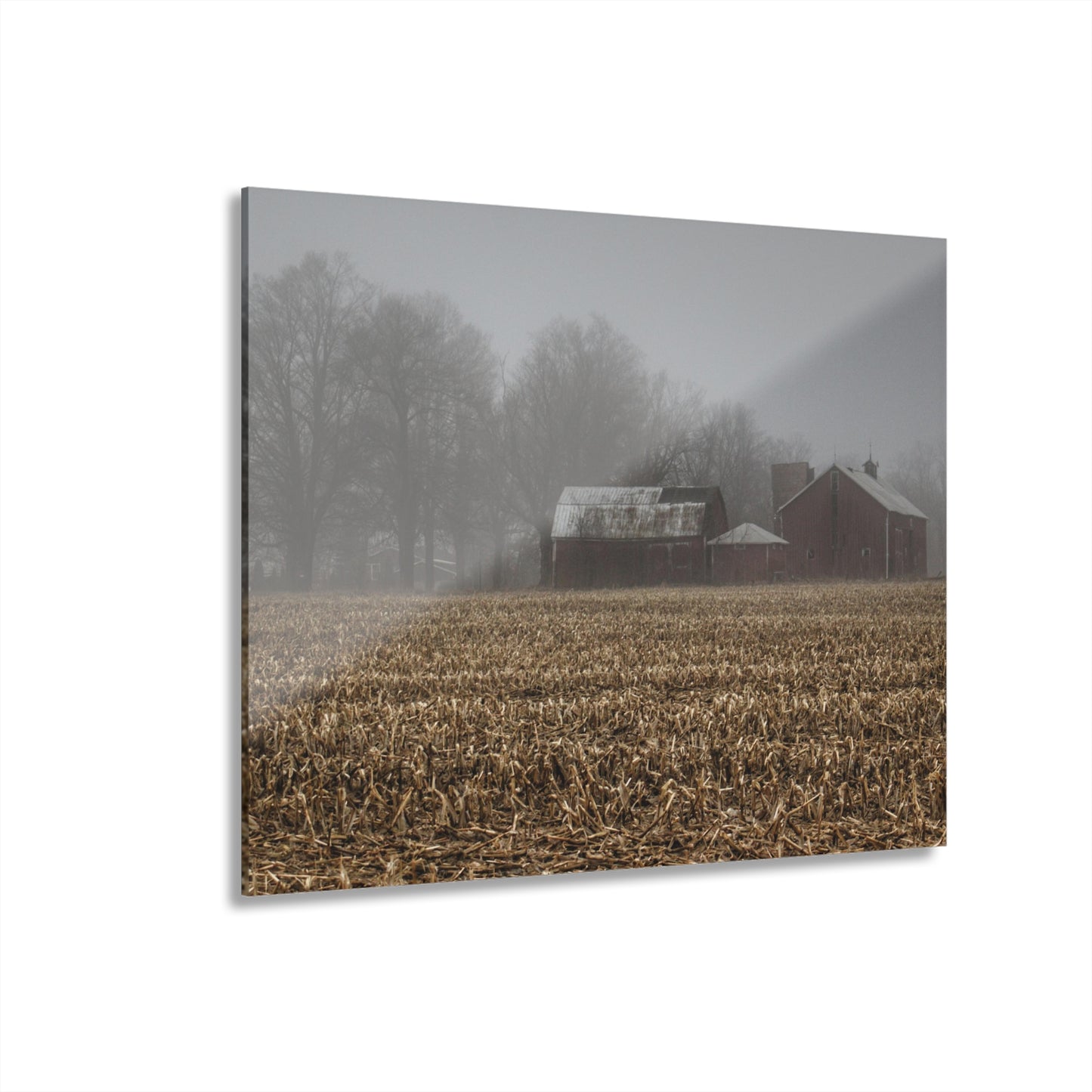 U R There Photography Farm in the Fog on Barnes Road Rustic Farmhouse Acrylic Wall Print