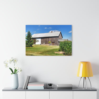 U R There Photography Frog Barn Rustic Farmhouse Acrylic Wall Print