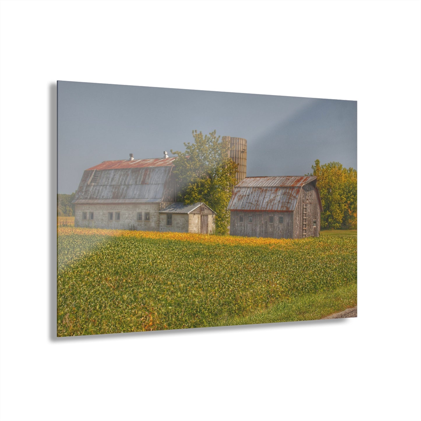 U R There Photography Swaffer Road Duo Rustic Farmhouse Acrylic Wall Print