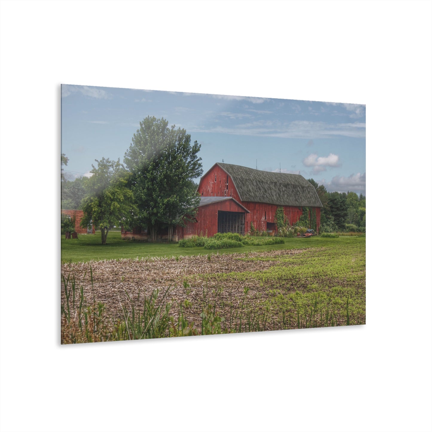 U R There Photography Murphy Lake Road Reds Rustic Farmhouse Acrylic Wall Print