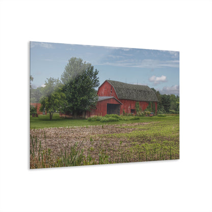 U R There Photography Murphy Lake Road Reds Rustic Farmhouse Acrylic Wall Print