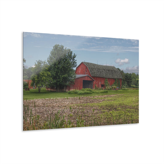 U R There Photography Murphy Lake Road Reds Rustic Farmhouse Acrylic Wall Print