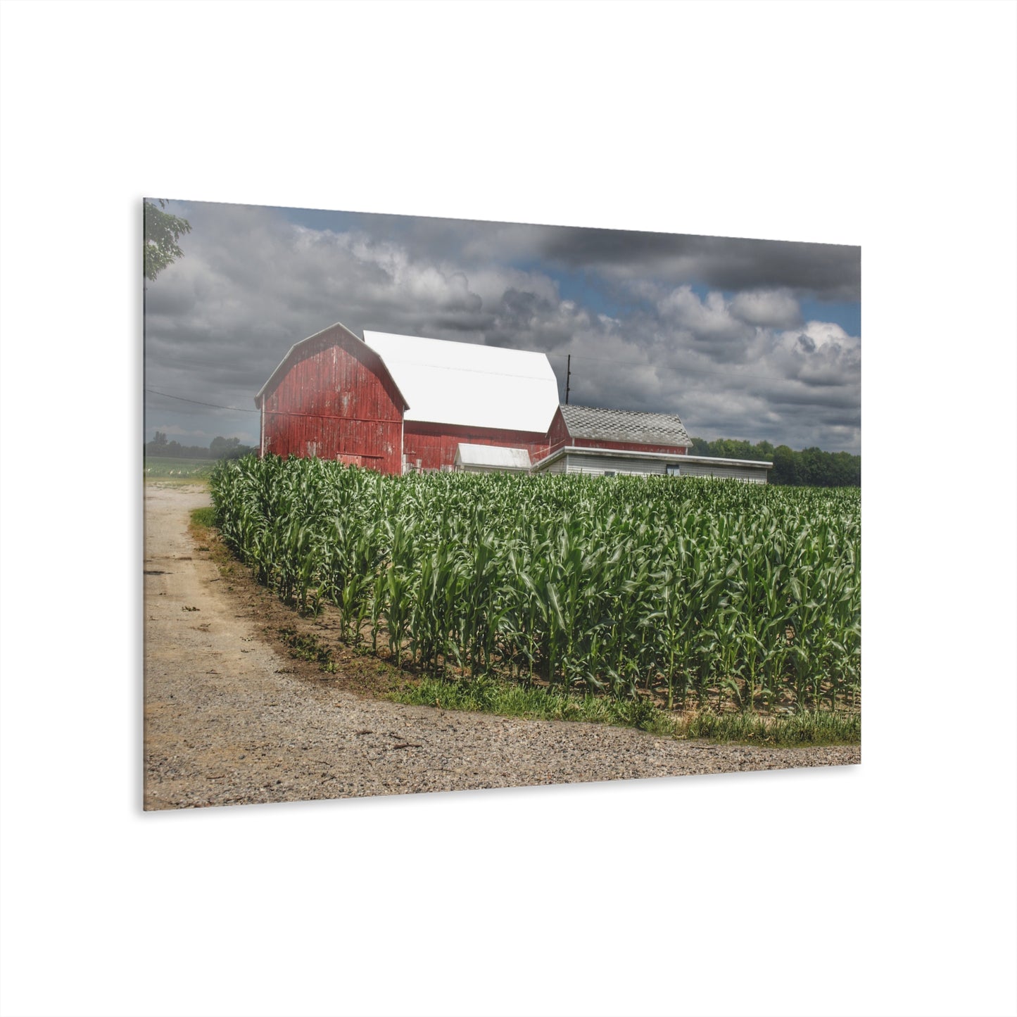 U R There Photography Millington Road Reds Rustic Farmhouse Acrylic Wall Print