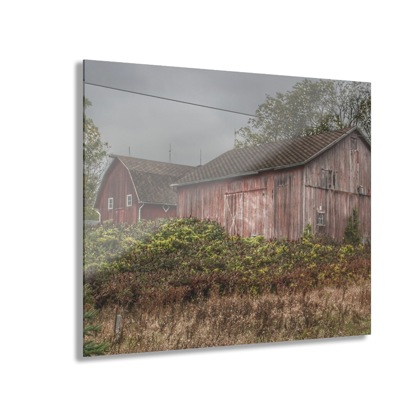 U R There Photography Washburn Reds Rustic Farmhouse Acrylic Wall Print