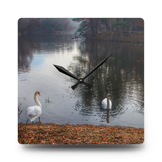 Swans of Duck Lake I Rustic Farmhouse Acrylic Analog Wall Clock 10.75'' × 10.75'' (Square)