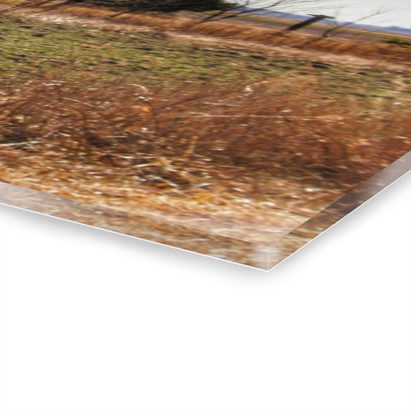 U R There Photography French Road Little Red Rustic Farmhouse Acrylic Wall Print