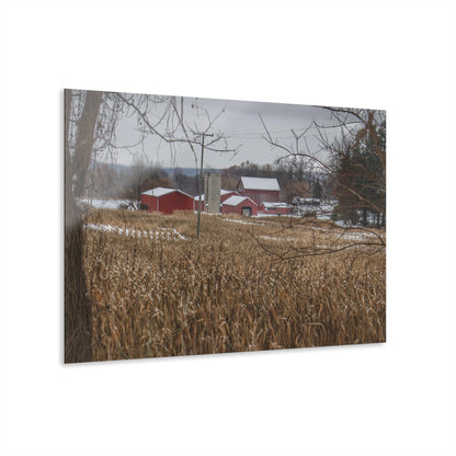 U R There Photography Beyond the Cornfield on Sutton Rustic Farmhouse Acrylic Wall Print