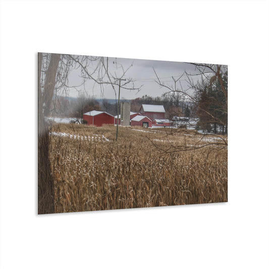 U R There Photography Beyond the Cornfield on Sutton Rustic Farmhouse Acrylic Wall Print