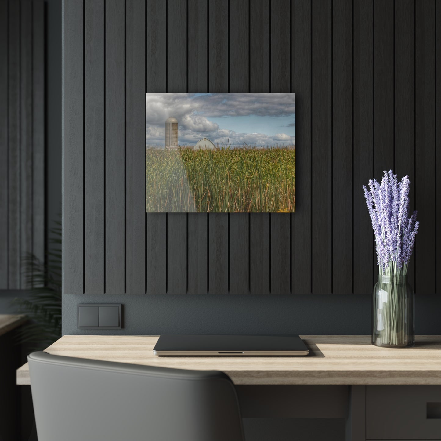 Barn Boutique Modern Farmhouse Acrylic Wall Print| Overlooking a Corn Field