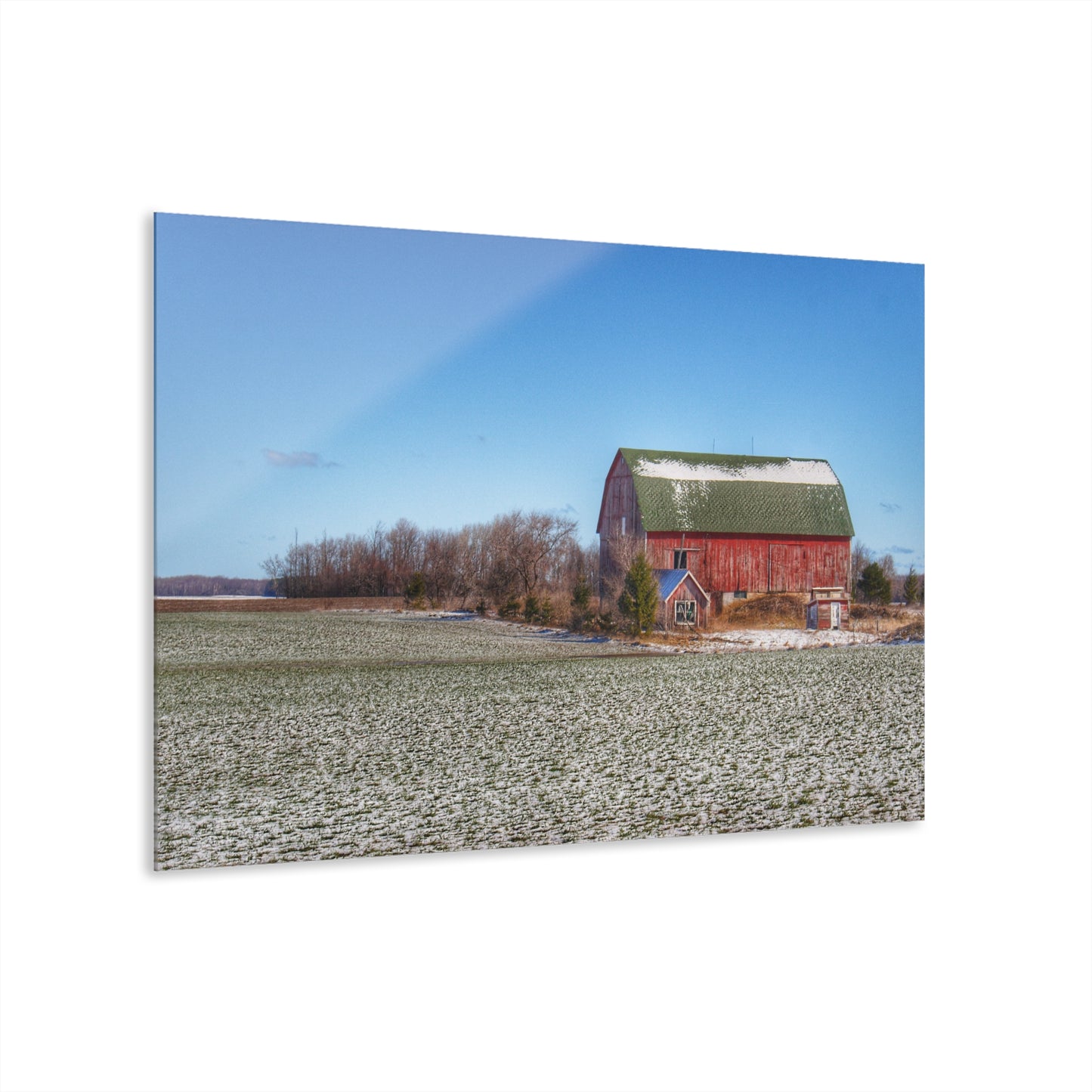U R There Photography Early Spring Red II Rustic Farmhouse Acrylic Wall Print