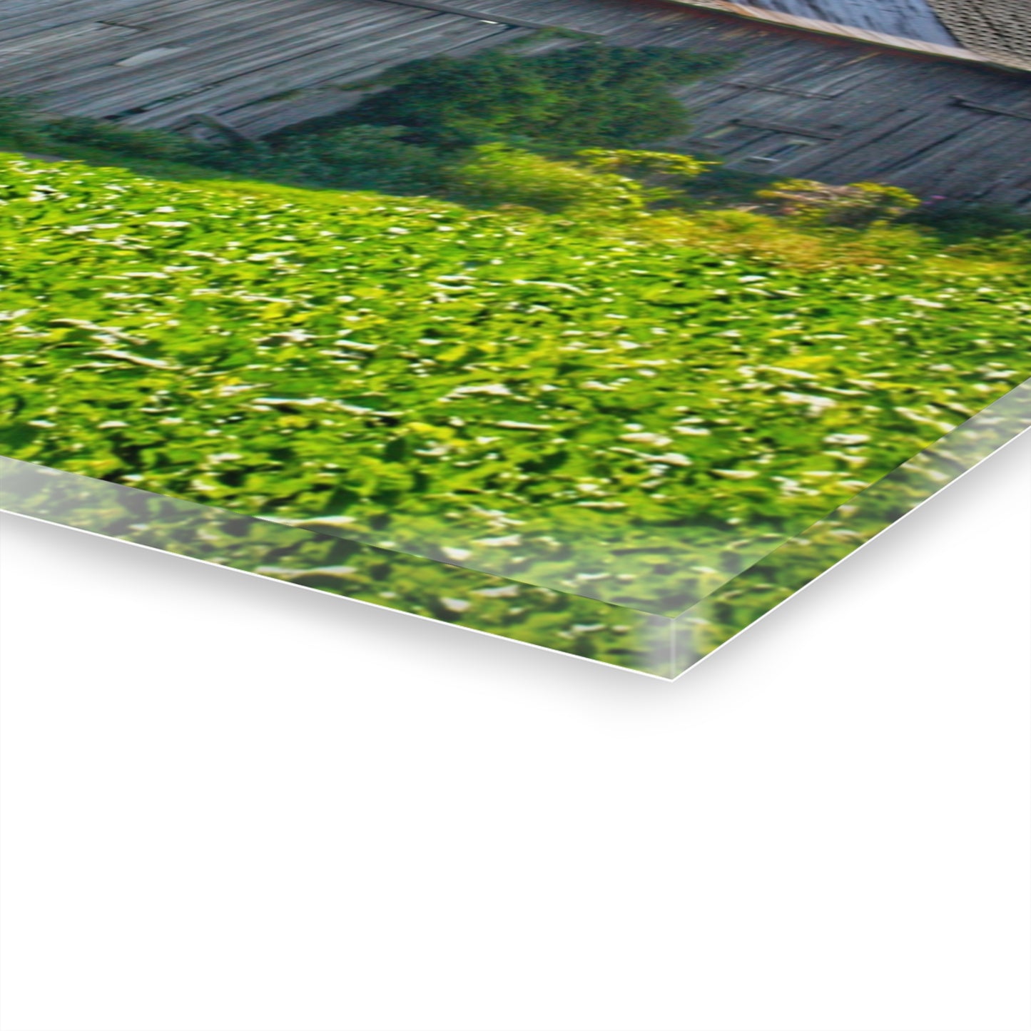 U R There Photography Morning Roadside Grey Rustic Farmhouse Acrylic Wall Print