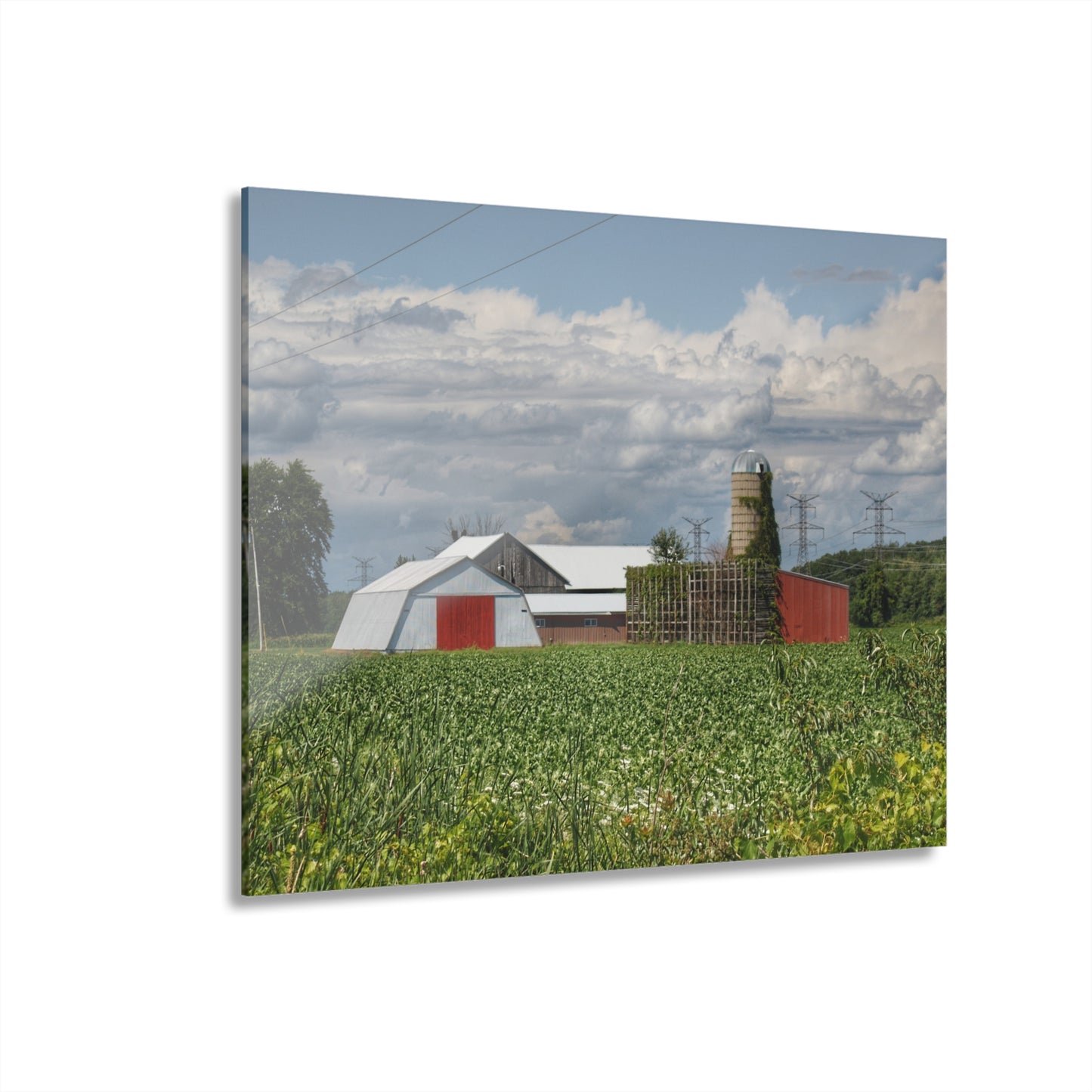 U R There Photography Montrose Farm I Rustic Farmhouse Acrylic Wall Print