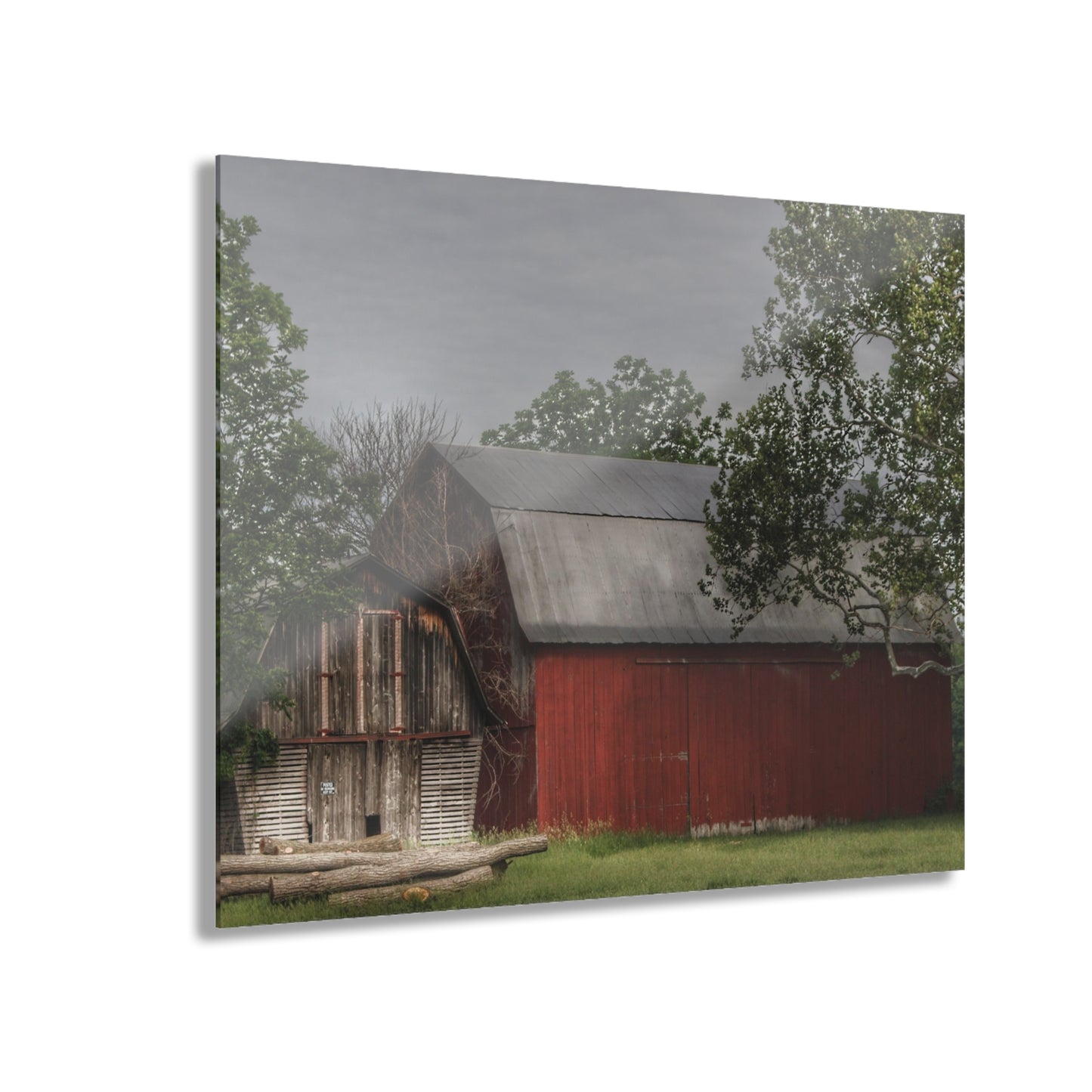 U R There Photography Barkley Road Buddies Rustic Farmhouse Acrylic Wall Print