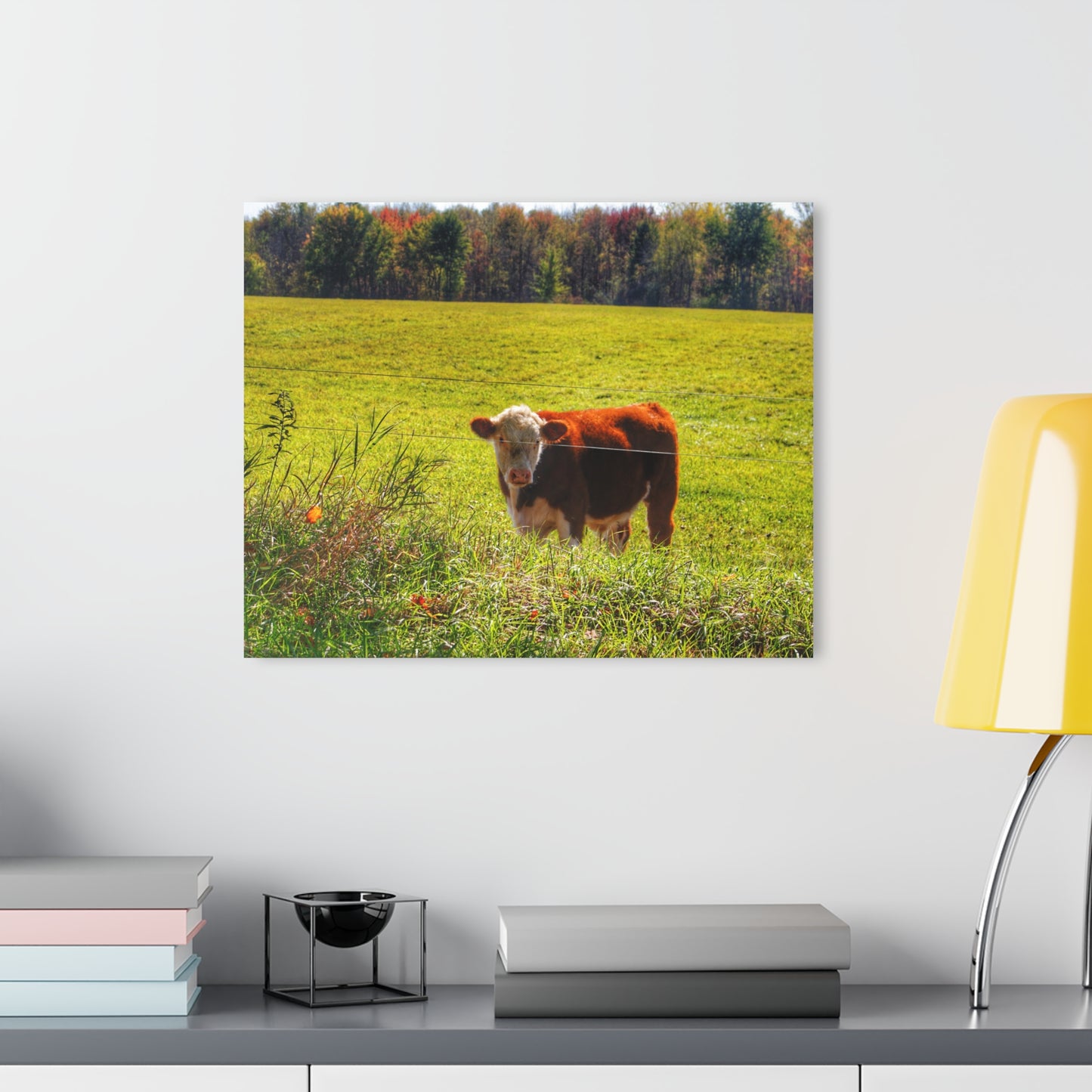 Barn Boutique Modern Farmhouse Acrylic Wall Print| Curry Road Cow