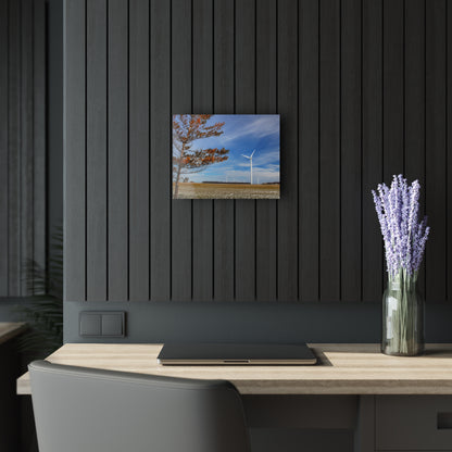 U R There Photography Winter Windmills Rustic Farmhouse Acrylic Wall Print