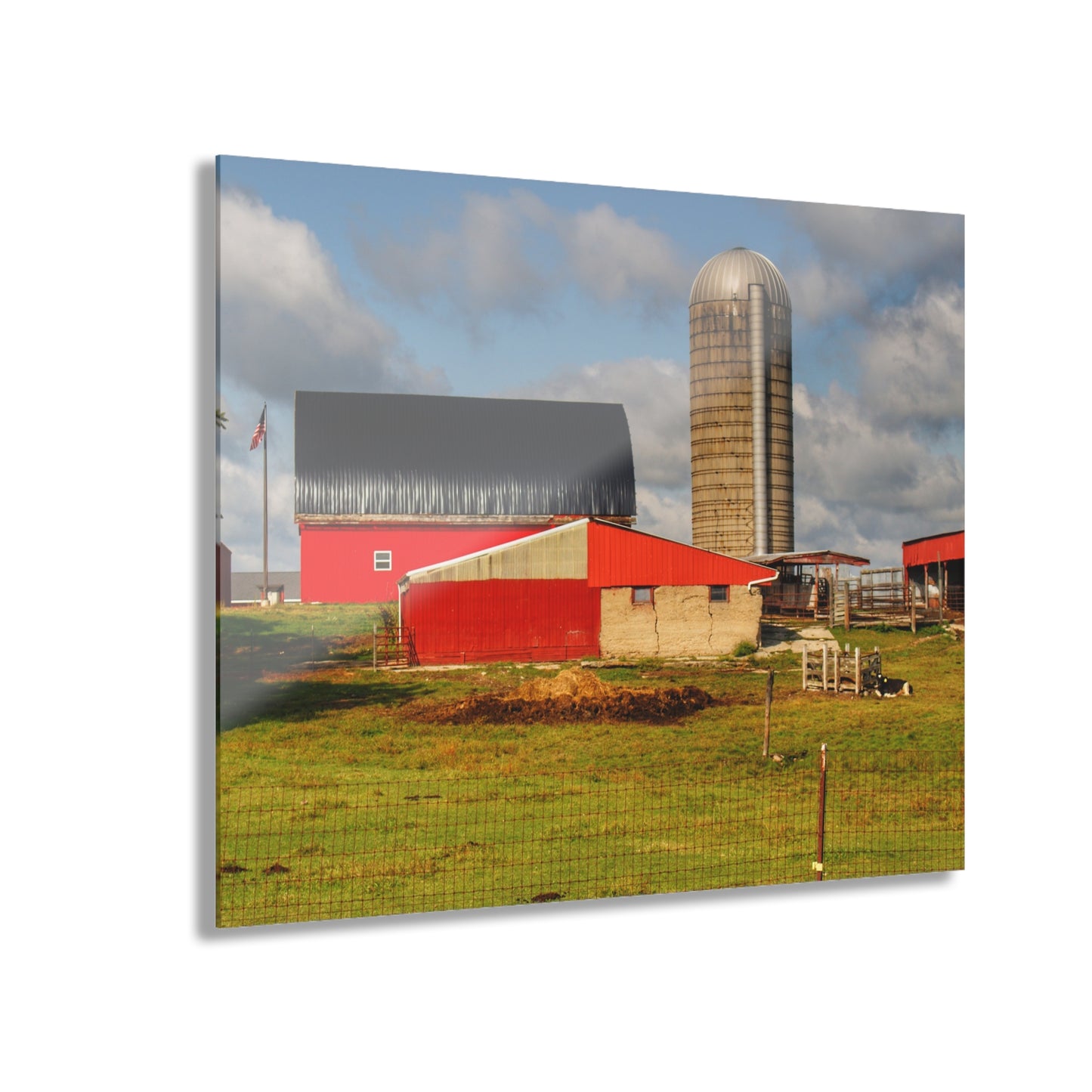 U R There Photography Kingston Checkerboard Farm Rustic Farmhouse Acrylic Wall Print