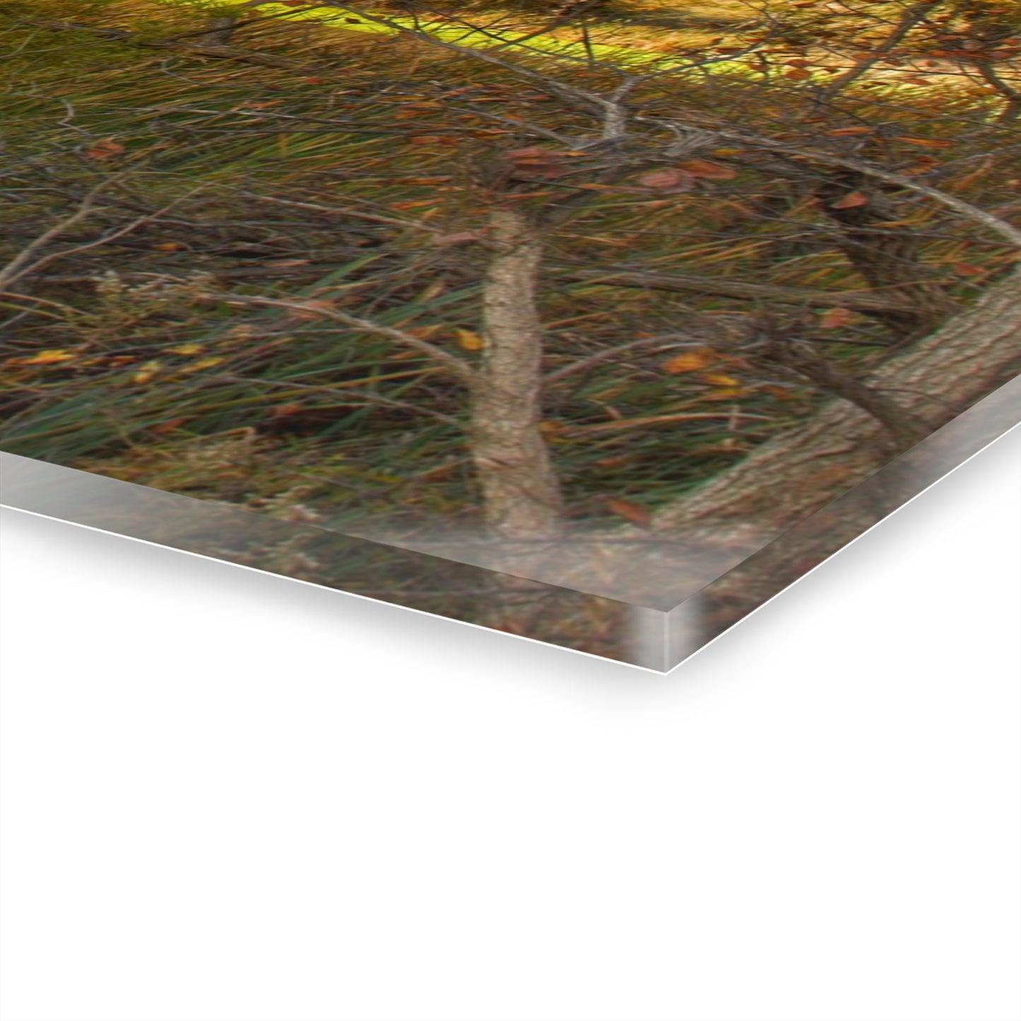 U R There Photography Fall Pond on Sutton Road Rustic Farmhouse Acrylic Wall Print