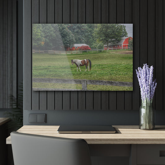 Barn Boutique Modern Farmhouse Acrylic Wall Print| Painted Pony in Pasture