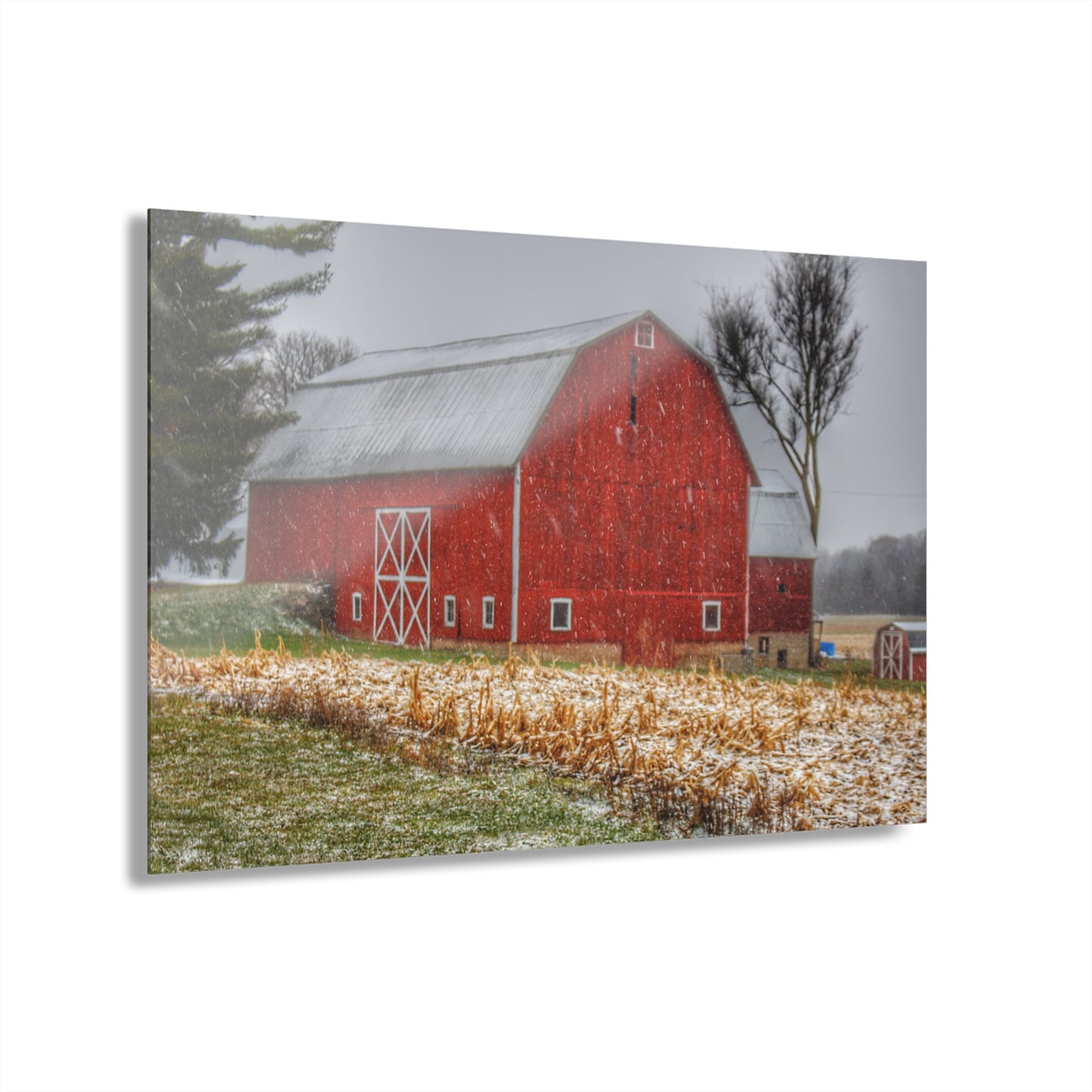 U R There Photography Shoemaker Road Winter Reds I Rustic Farmhouse Acrylic Wall Print