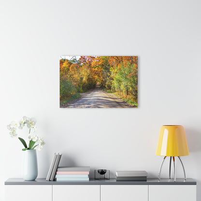 U R There Photography Harson Road in Fall II Rustic Farmhouse Acrylic Wall Print