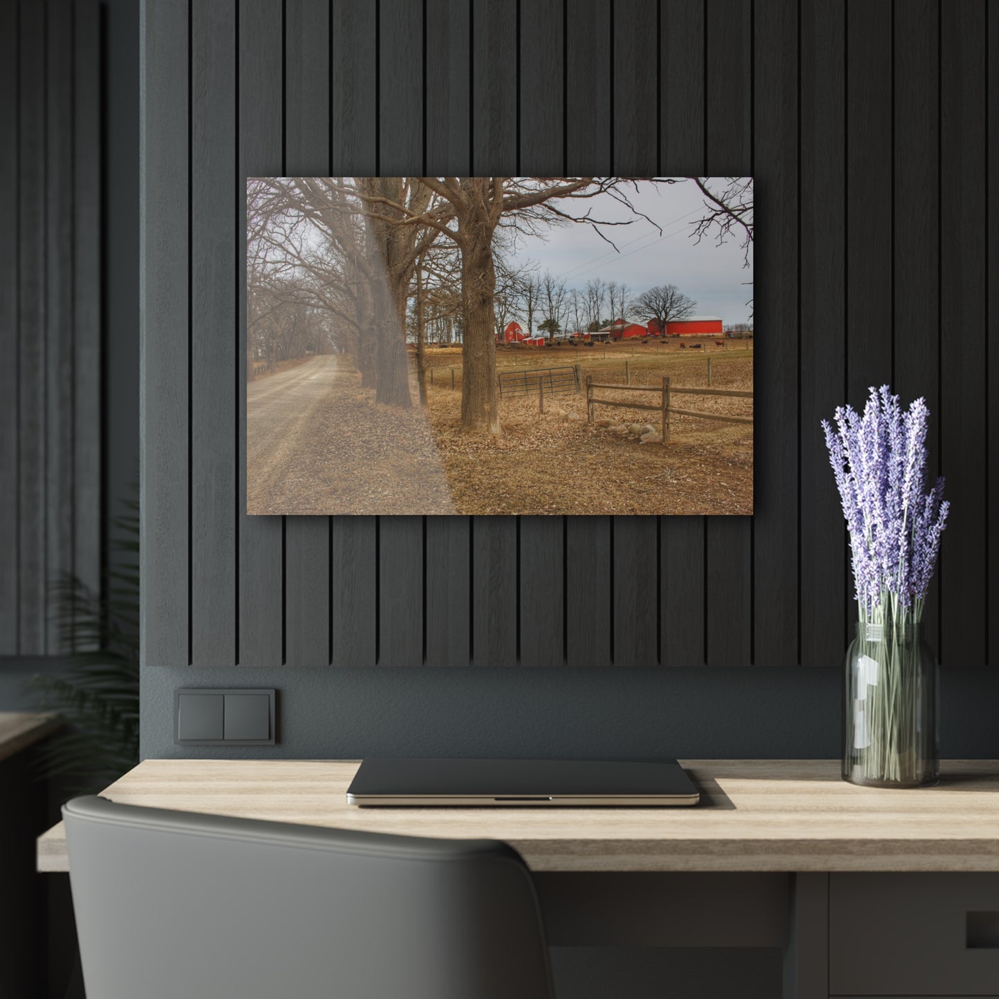 U R There Photography Wilder Road Cow Farm Rustic Farmhouse Acrylic Wall Print