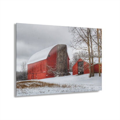 U R There Photography Catlin Reds in Winter I Rustic Farmhouse Acrylic Wall Print