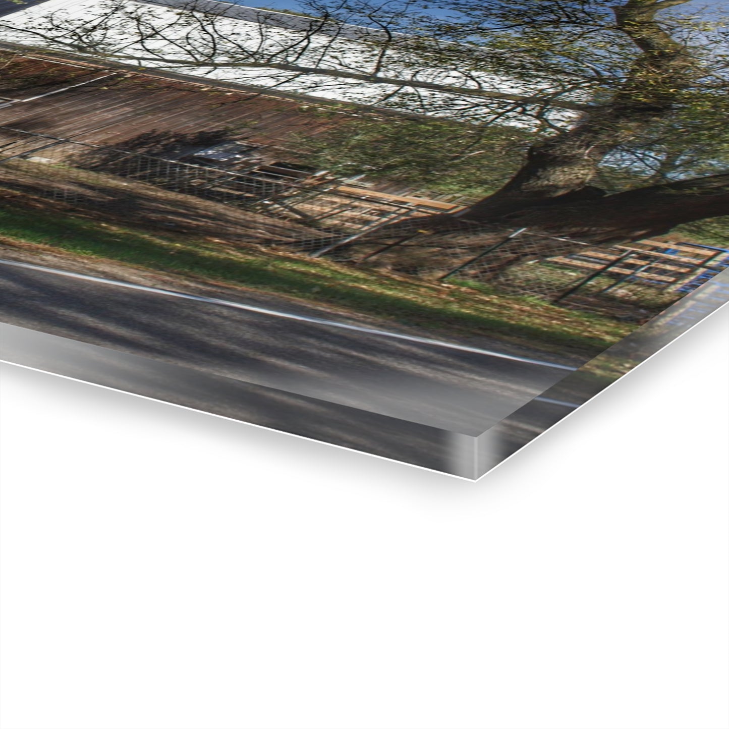 U R There Photography Birch Run Road Grey Rustic Farmhouse Acrylic Wall Print