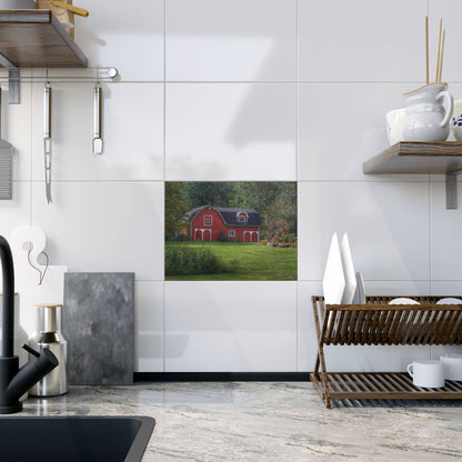 U R There Photography Charming Red Rustic Farmhouse Decorative Ceramic Tile