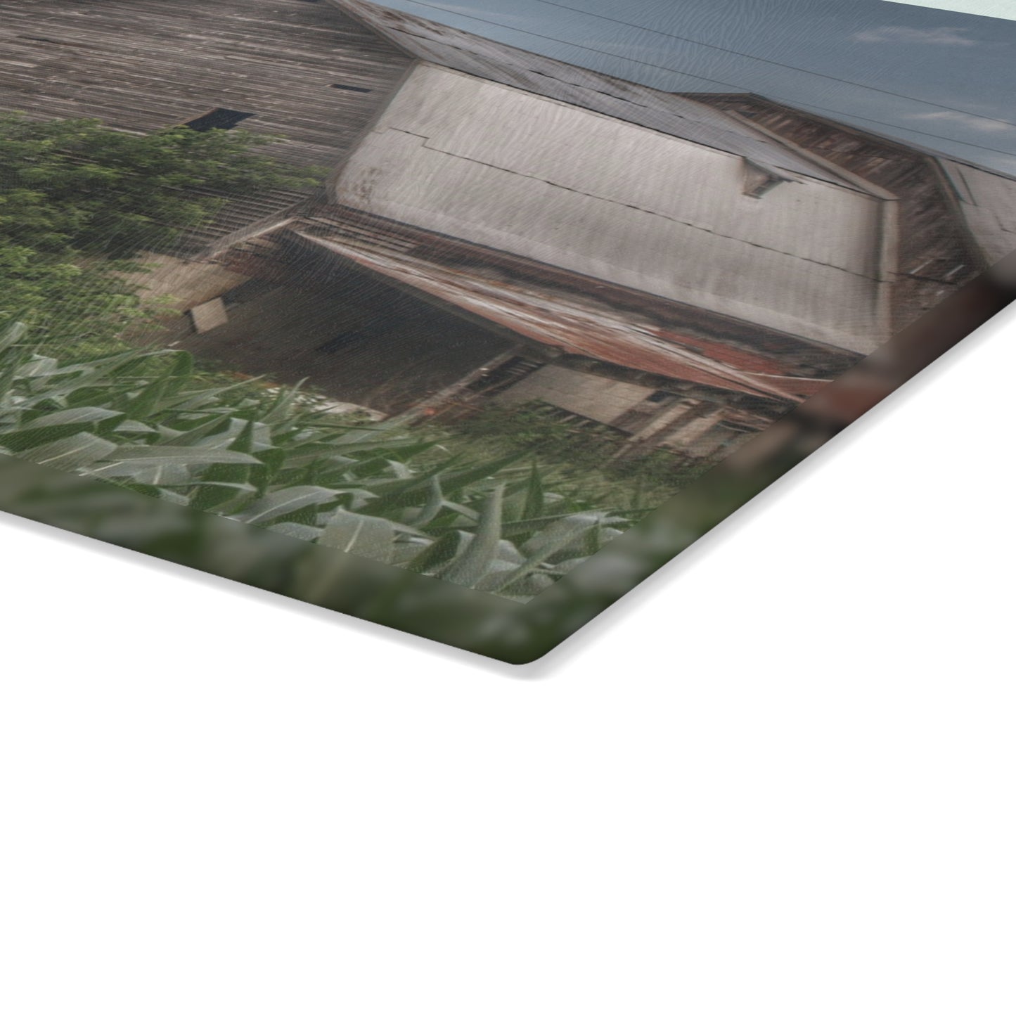 U R There Photography Murphy Lake Road Grey II Rustic Farmhouse Tempered-Glass Cutting Board