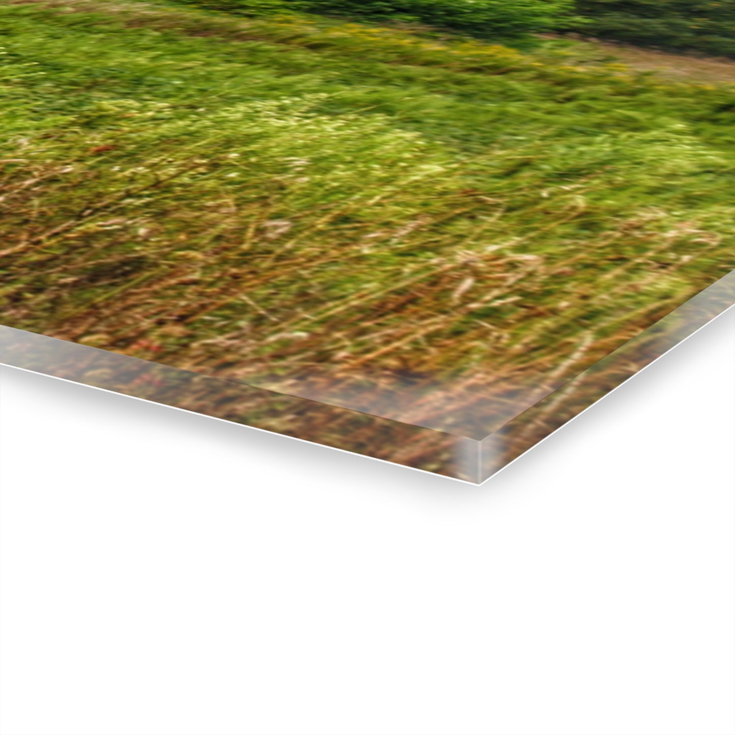 U R There Photography Frankford Road Grey Rustic Farmhouse Acrylic Wall Print