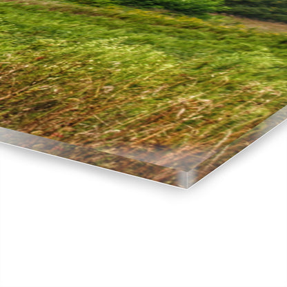 U R There Photography Frankford Road Grey Rustic Farmhouse Acrylic Wall Print