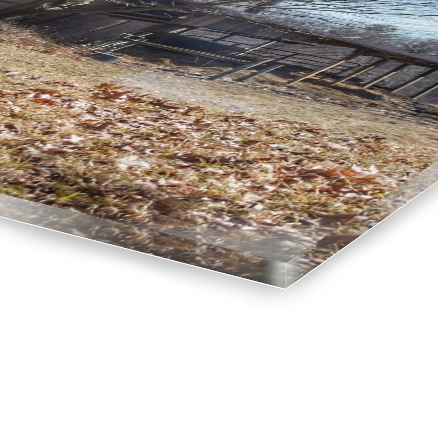 U R There Photography Hagerman Hidden Rustic Farmhouse Acrylic Wall Print