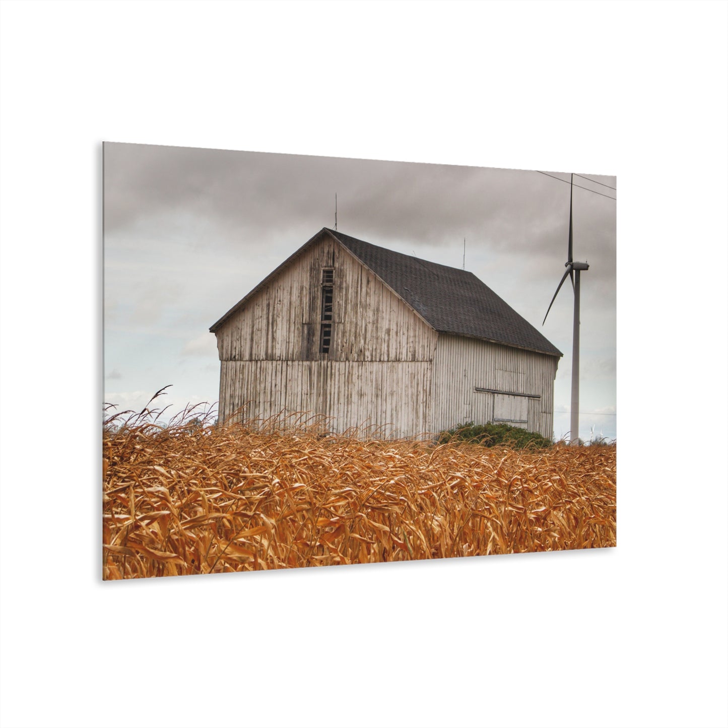 U R There Photography Merry Road Grey Rustic Farmhouse Acrylic Wall Print