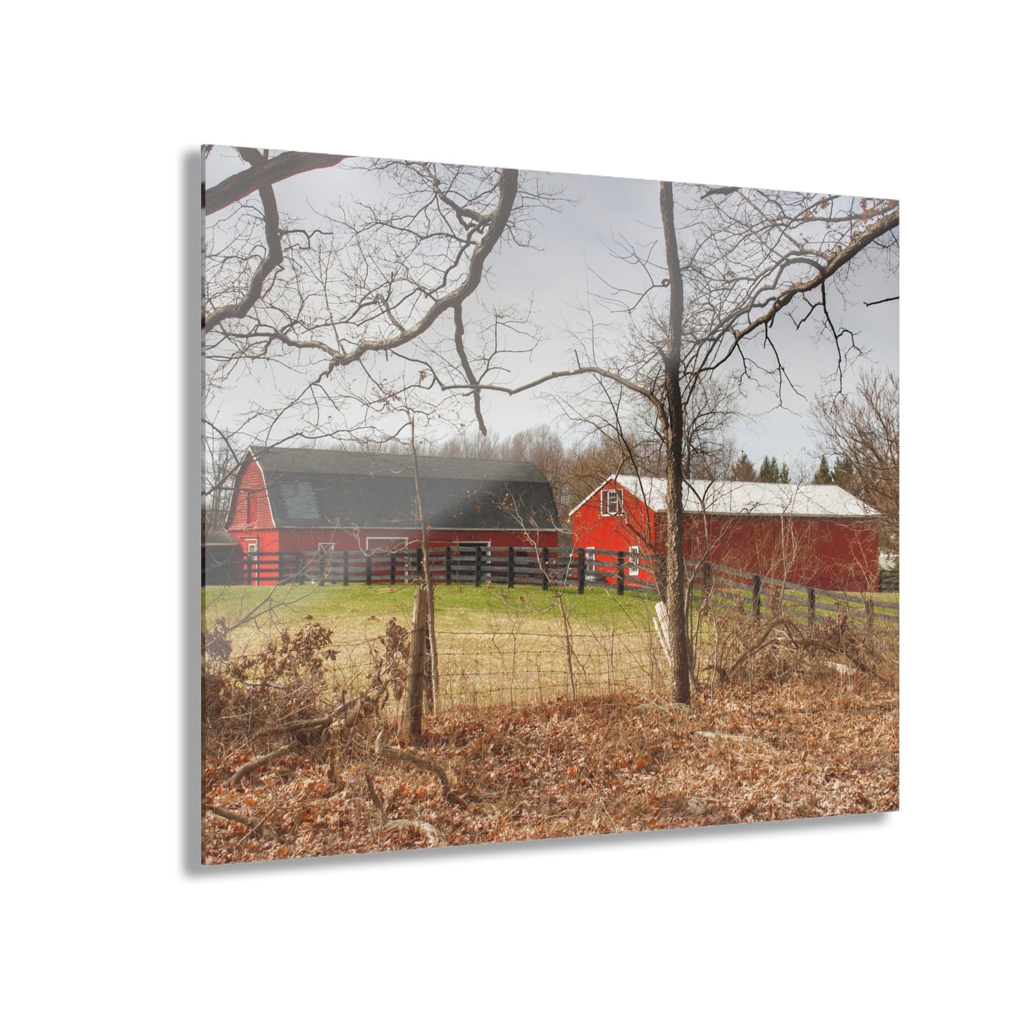 U R There Photography Hidden Hosner Reds Rustic Farmhouse Acrylic Wall Print