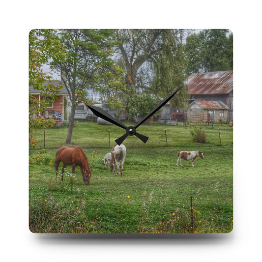 Front Yard Ponies Rustic Farmhouse Acrylic Analog Wall Clock 10.75'' × 10.75'' (Square)