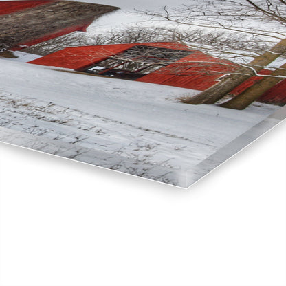 U R There Photography Catlin Reds in Winter I Rustic Farmhouse Acrylic Wall Print